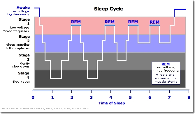 deep vs rem sleep
