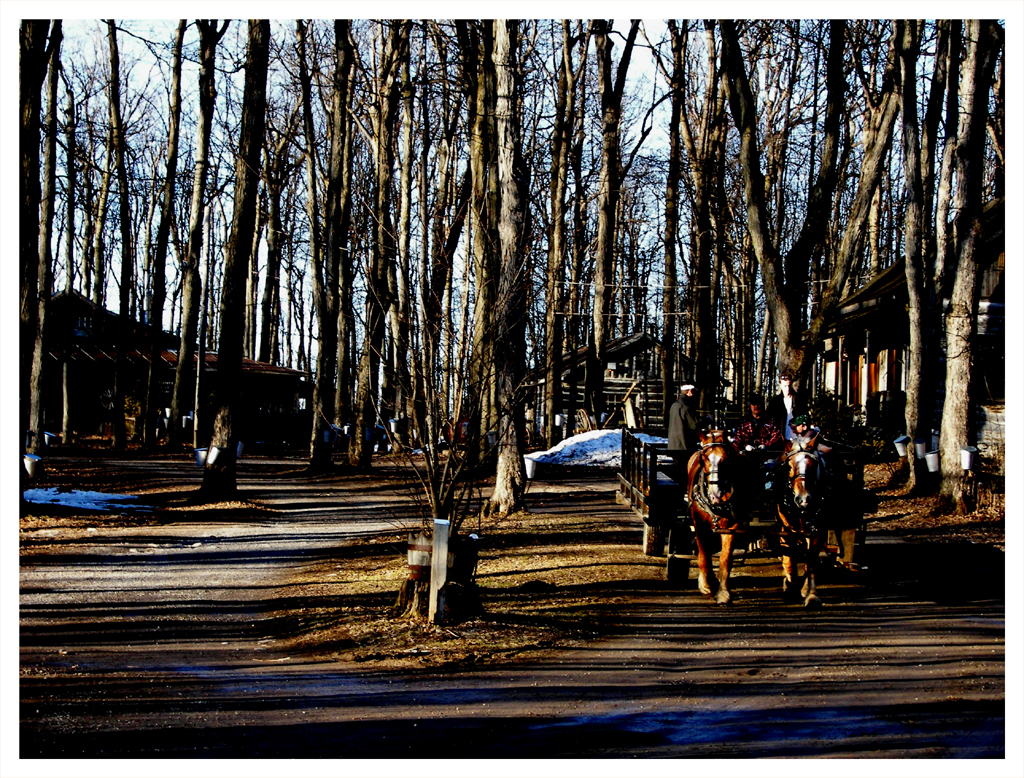 Part of the tourist attraction is the carriage.